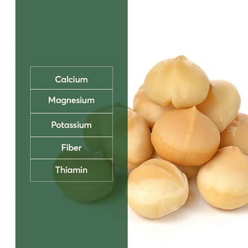 The Caphe Vietnam Premium Macadamia Nuts - 500 G | VIP Size Without Shell | Unsalted & Roasted | Premium Vietnamese Macadamia Nuts