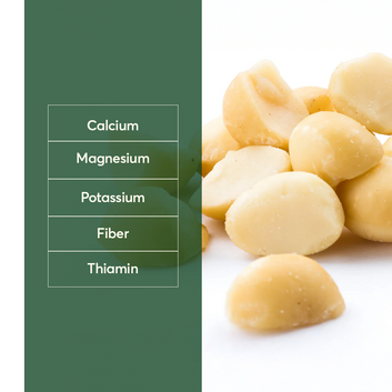 The Caphe Vietnam Premium Macadamia Nuts - 500 G | VIP Size Double Tank | Unsalted & Roasted | Premium Vietnamese Macadamia Nuts